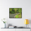 Rainforest Trails & Views - Gallery Canvas Wraps, Horizontal Frame - El Yunque National Forest - Puerto Rico - Lovely swings of the main road PR 191 near the top - Green Forest Home
