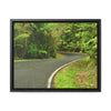 Rainforest Trails & Views - Gallery Canvas Wraps, Horizontal Frame - El Yunque National Forest - Puerto Rico - Lovely swings of the main road PR 191 near the top - Green Forest Home