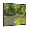 Rainforest Trails & Views - Gallery Canvas Wraps, Horizontal Frame - El Yunque National Forest - Puerto Rico - Lovely swings of the main road PR 191 near the top - Green Forest Home