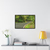 Rainforest Trails & Views - Gallery Canvas Wraps, Horizontal Frame - El Yunque National Forest - Puerto Rico - Lovely swings of the main road PR 191 near the top - Green Forest Home