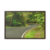 Rainforest Trails & Views - Gallery Canvas Wraps, Horizontal Frame - El Yunque National Forest - Puerto Rico - Lovely swings of the main road PR 191 near the top - Green Forest Home