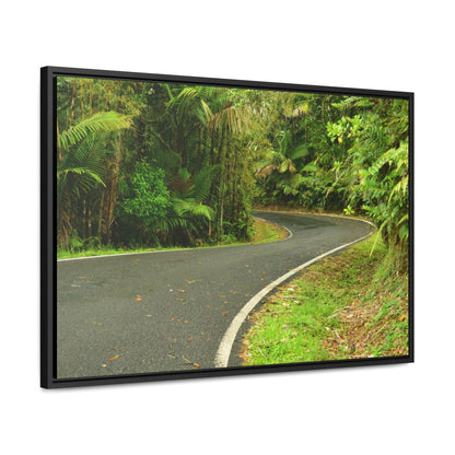Rainforest Trails & Views - Gallery Canvas Wraps, Horizontal Frame - El Yunque National Forest - Puerto Rico - Lovely swings of the main road PR 191 near the top - Green Forest Home