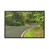 Rainforest Trails & Views - Gallery Canvas Wraps, Horizontal Frame - El Yunque National Forest - Puerto Rico - Lovely swings of the main road PR 191 near the top - Green Forest Home