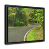 Rainforest Trails & Views - Gallery Canvas Wraps, Horizontal Frame - El Yunque National Forest - Puerto Rico - Lovely swings of the main road PR 191 near the top - Green Forest Home