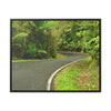 Rainforest Trails & Views - Gallery Canvas Wraps, Horizontal Frame - El Yunque National Forest - Puerto Rico - Lovely swings of the main road PR 191 near the top - Green Forest Home