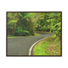 Rainforest Trails & Views - Gallery Canvas Wraps, Horizontal Frame - El Yunque National Forest - Puerto Rico - Lovely swings of the main road PR 191 near the top - Green Forest Home