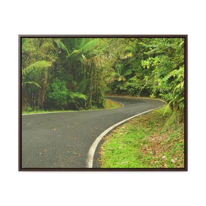Rainforest Trails & Views - Gallery Canvas Wraps, Horizontal Frame - El Yunque National Forest - Puerto Rico - Lovely swings of the main road PR 191 near the top - Green Forest Home