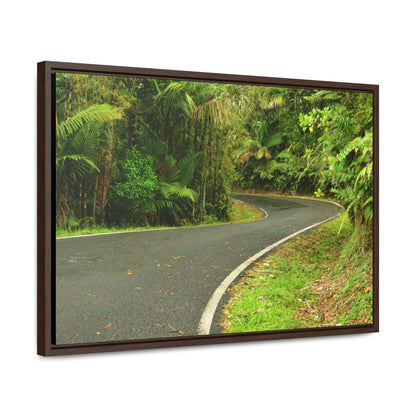 Rainforest Trails & Views - Gallery Canvas Wraps, Horizontal Frame - El Yunque National Forest - Puerto Rico - Lovely swings of the main road PR 191 near the top - Green Forest Home