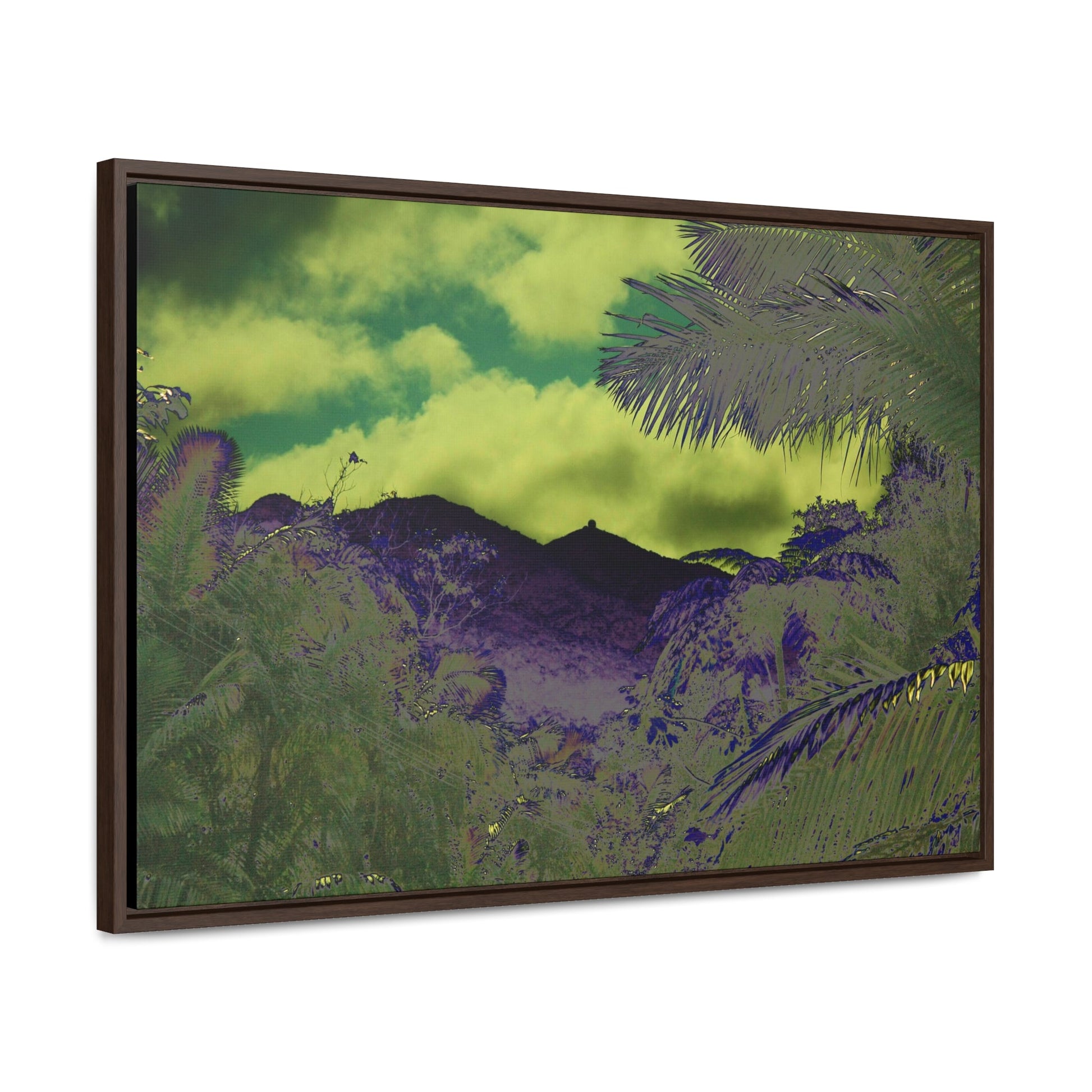 Rainforest Trails & Views - Gallery Canvas Wraps, Horizontal Frame - El Yunque National Forest - Puerto Rico - Mt Britton road view of Mt Britton - color enhanced - Green Forest Home