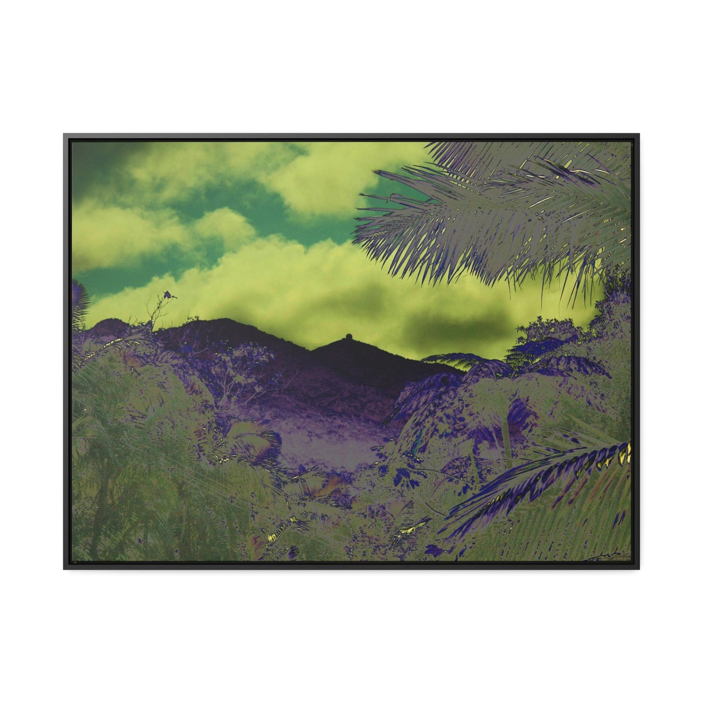 Rainforest Trails & Views - Gallery Canvas Wraps, Horizontal Frame - El Yunque National Forest - Puerto Rico - Mt Britton road view of Mt Britton - color enhanced - Green Forest Home