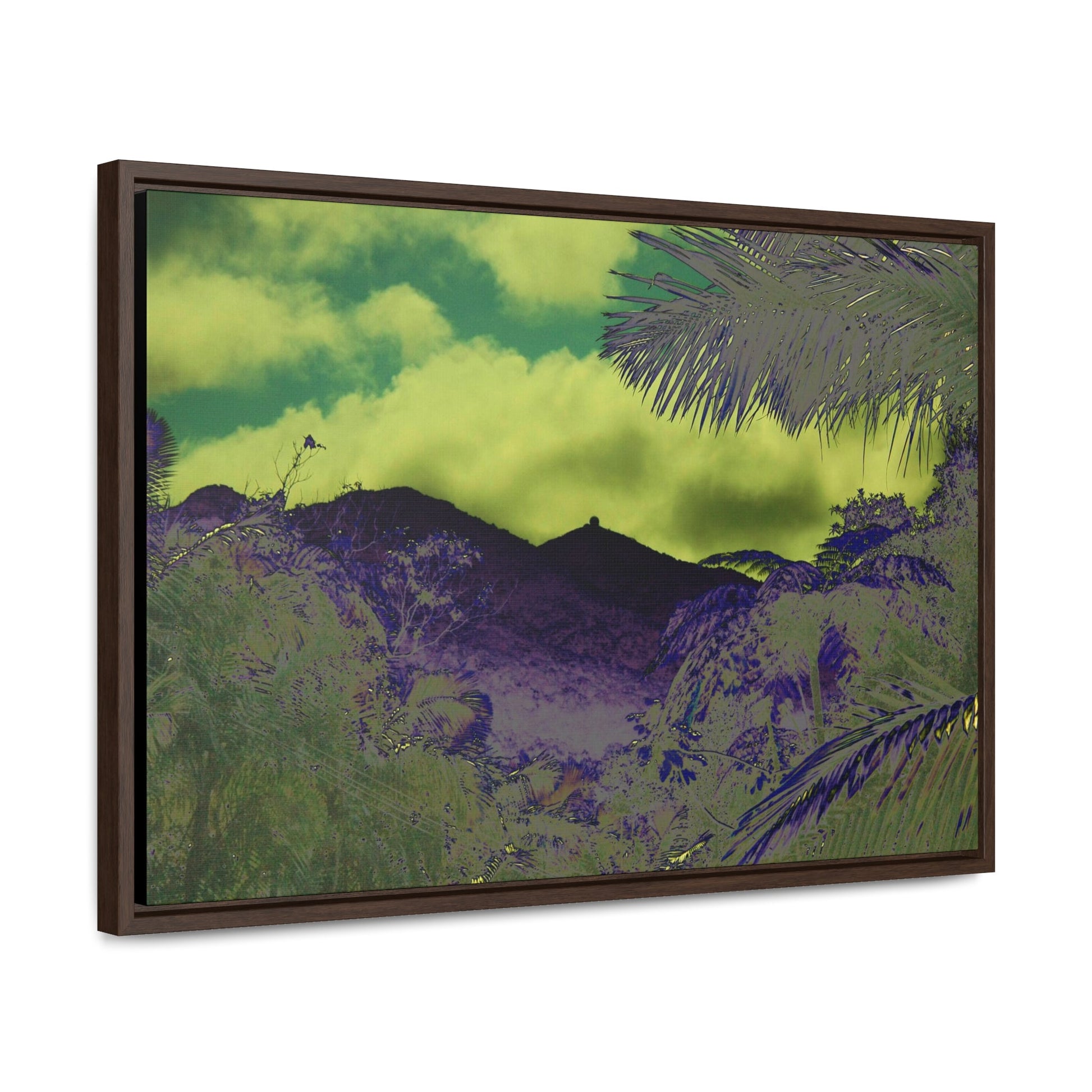 Rainforest Trails & Views - Gallery Canvas Wraps, Horizontal Frame - El Yunque National Forest - Puerto Rico - Mt Britton road view of Mt Britton - color enhanced - Green Forest Home
