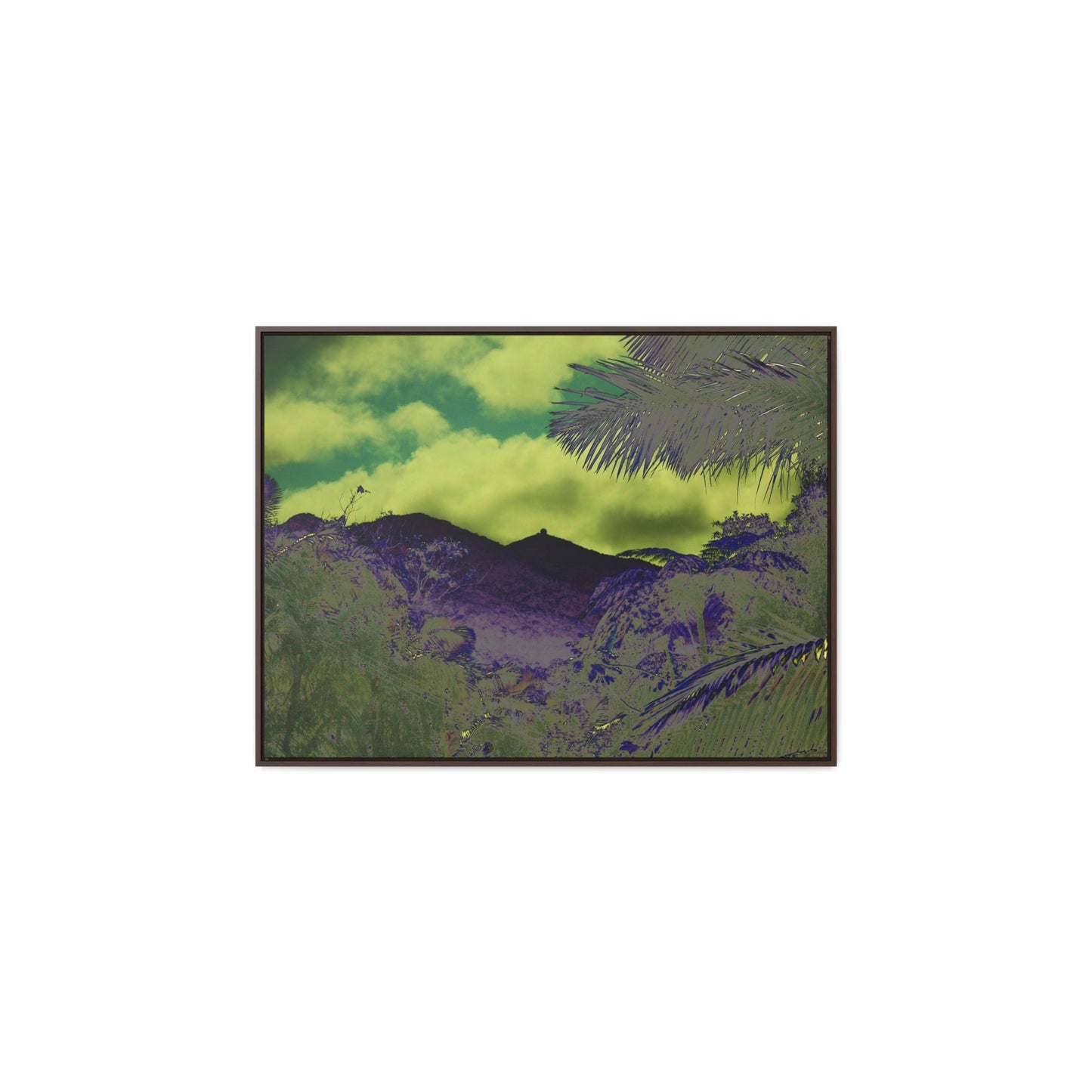 Rainforest Trails & Views - Gallery Canvas Wraps, Horizontal Frame - El Yunque National Forest - Puerto Rico - Mt Britton road view of Mt Britton - color enhanced - Green Forest Home