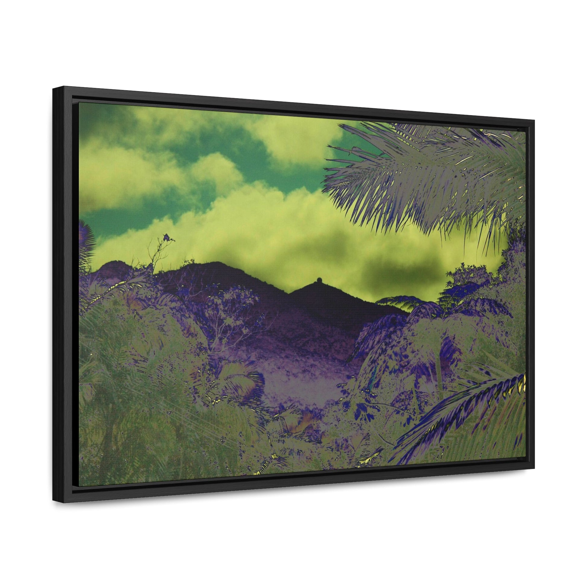 Rainforest Trails & Views - Gallery Canvas Wraps, Horizontal Frame - El Yunque National Forest - Puerto Rico - Mt Britton road view of Mt Britton - color enhanced - Green Forest Home