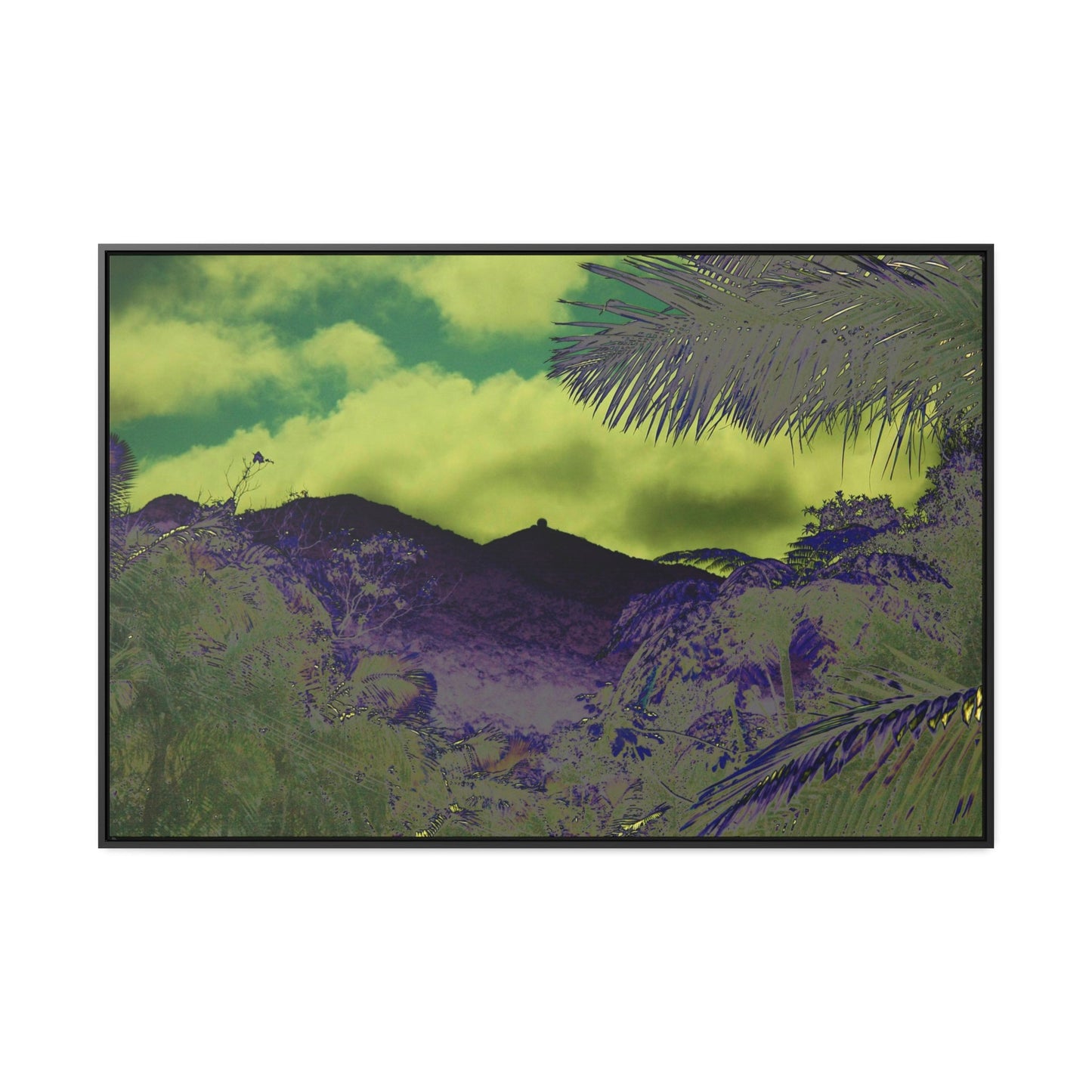 Rainforest Trails & Views - Gallery Canvas Wraps, Horizontal Frame - El Yunque National Forest - Puerto Rico - Mt Britton road view of Mt Britton - color enhanced - Green Forest Home