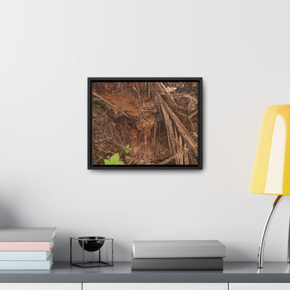 Rainforest Trails & Views - Gallery Canvas Wraps, Horizontal Frame - El Yunque National Forest - Puerto Rico - Muddy stream after rain - Green Forest Home