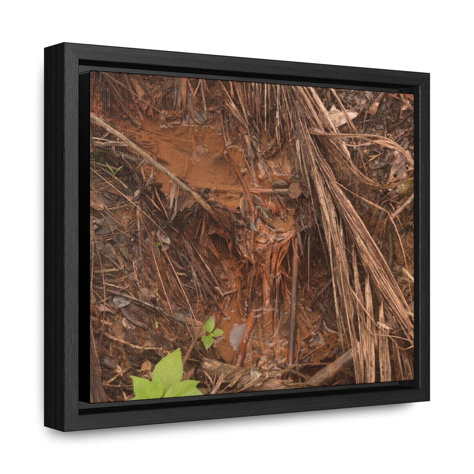 Rainforest Trails & Views - Gallery Canvas Wraps, Horizontal Frame - El Yunque National Forest - Puerto Rico - Muddy stream after rain - Green Forest Home