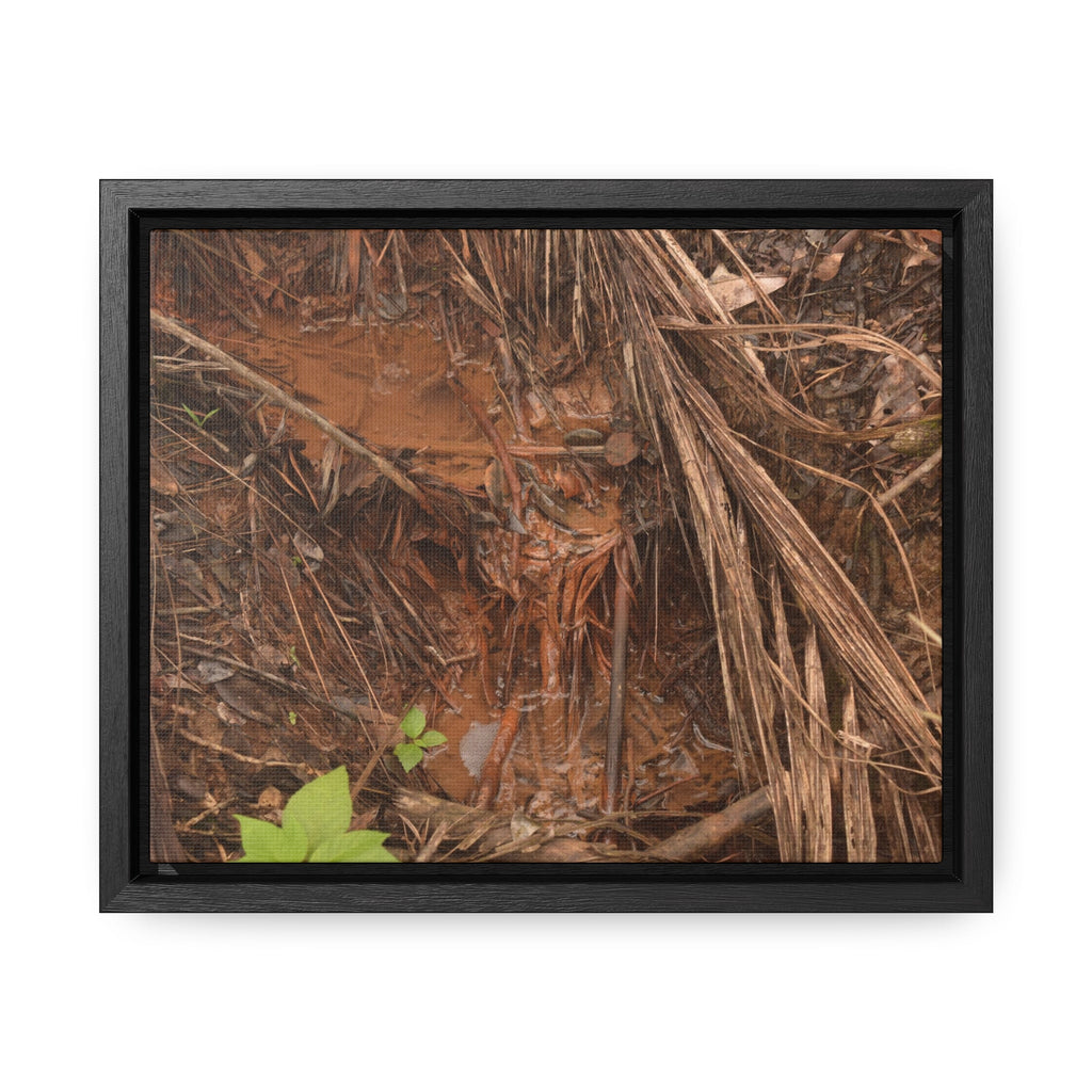 Rainforest Trails & Views - Gallery Canvas Wraps, Horizontal Frame - El Yunque National Forest - Puerto Rico - Muddy stream after rain - Green Forest Home