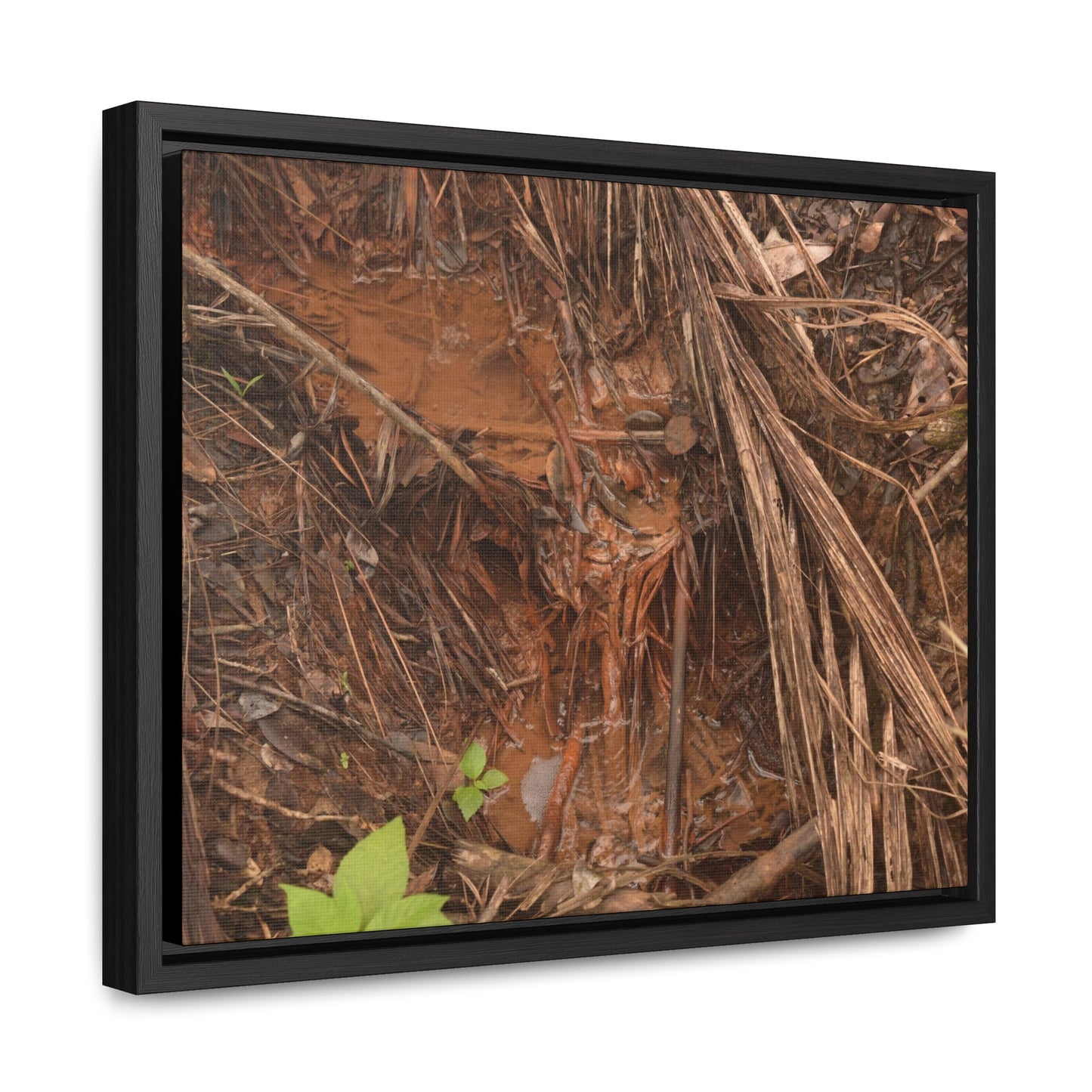 Rainforest Trails & Views - Gallery Canvas Wraps, Horizontal Frame - El Yunque National Forest - Puerto Rico - Muddy stream after rain - Green Forest Home