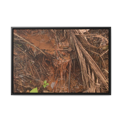 Rainforest Trails & Views - Gallery Canvas Wraps, Horizontal Frame - El Yunque National Forest - Puerto Rico - Muddy stream after rain - Green Forest Home