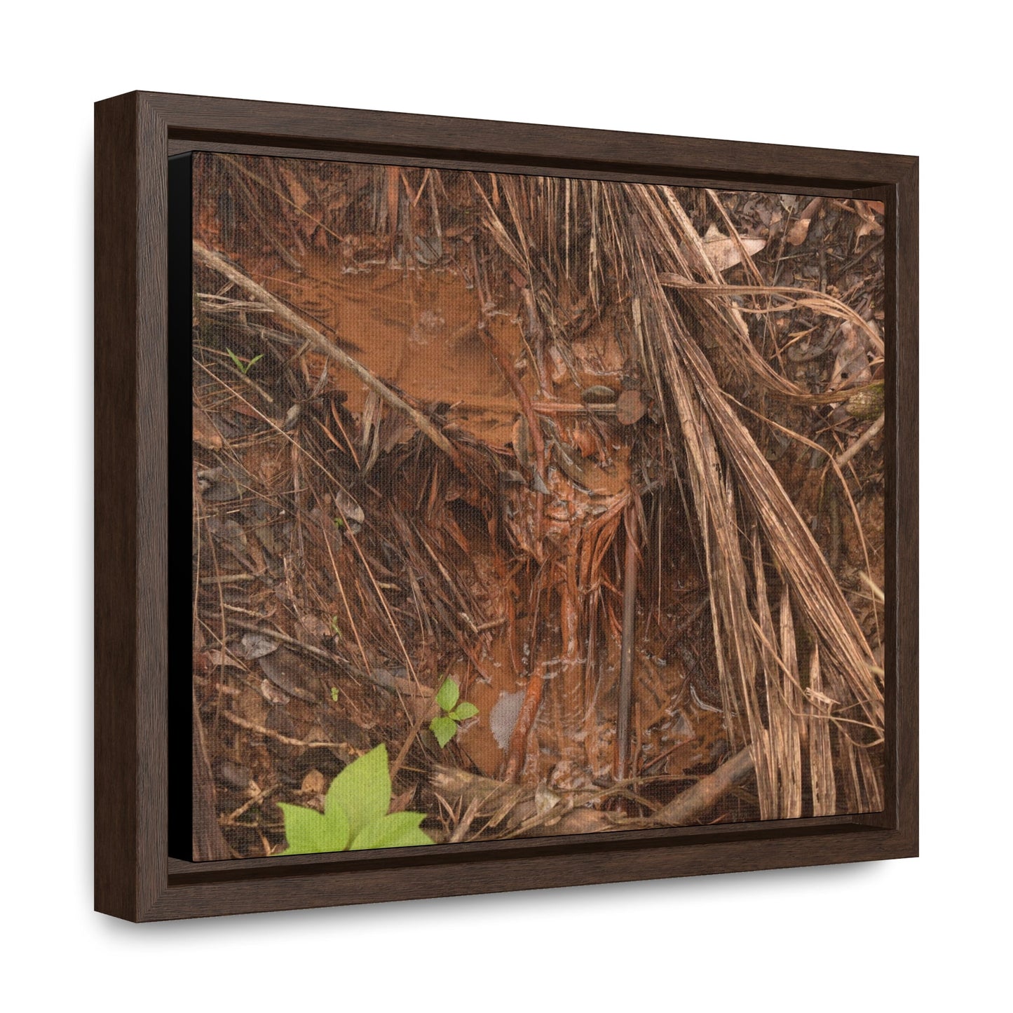 Rainforest Trails & Views - Gallery Canvas Wraps, Horizontal Frame - El Yunque National Forest - Puerto Rico - Muddy stream after rain - Green Forest Home