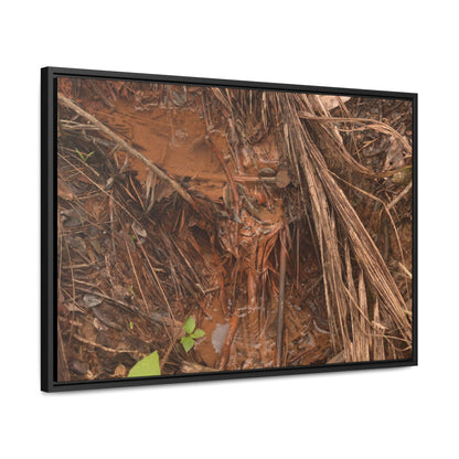Rainforest Trails & Views - Gallery Canvas Wraps, Horizontal Frame - El Yunque National Forest - Puerto Rico - Muddy stream after rain - Green Forest Home