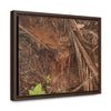 Rainforest Trails & Views - Gallery Canvas Wraps, Horizontal Frame - El Yunque National Forest - Puerto Rico - Muddy stream after rain - Green Forest Home