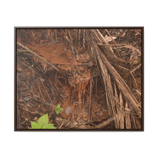Rainforest Trails & Views - Gallery Canvas Wraps, Horizontal Frame - El Yunque National Forest - Puerto Rico - Muddy stream after rain - Green Forest Home