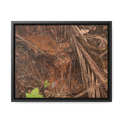 Rainforest Trails & Views - Gallery Canvas Wraps, Horizontal Frame - El Yunque National Forest - Puerto Rico - Muddy stream after rain - Green Forest Home