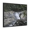 Rainforest Trails & Views - Gallery Canvas Wraps, Horizontal Frame - El Yunque National Forest - Puerto Rico - Nice ponds above the bridge and next toi Rio Sabana Park camping grounds - Green Forest Home