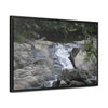Rainforest Trails & Views - Gallery Canvas Wraps, Horizontal Frame - El Yunque National Forest - Puerto Rico - Nice ponds above the bridge and next toi Rio Sabana Park camping grounds - Green Forest Home