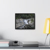 Rainforest Trails & Views - Gallery Canvas Wraps, Horizontal Frame - El Yunque National Forest - Puerto Rico - Nice ponds above the bridge and next toi Rio Sabana Park camping grounds - Green Forest Home