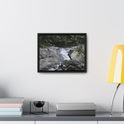 Rainforest Trails & Views - Gallery Canvas Wraps, Horizontal Frame - El Yunque National Forest - Puerto Rico - Nice ponds above the bridge and next toi Rio Sabana Park camping grounds - Green Forest Home