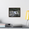 Rainforest Trails & Views - Gallery Canvas Wraps, Horizontal Frame - El Yunque National Forest - Puerto Rico - Nice ponds above the bridge and next toi Rio Sabana Park camping grounds - Green Forest Home