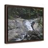 Rainforest Trails & Views - Gallery Canvas Wraps, Horizontal Frame - El Yunque National Forest - Puerto Rico - Nice ponds above the bridge and next toi Rio Sabana Park camping grounds - Green Forest Home