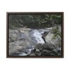 Rainforest Trails & Views - Gallery Canvas Wraps, Horizontal Frame - El Yunque National Forest - Puerto Rico - Nice ponds above the bridge and next toi Rio Sabana Park camping grounds - Green Forest Home