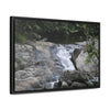 Rainforest Trails & Views - Gallery Canvas Wraps, Horizontal Frame - El Yunque National Forest - Puerto Rico - Nice ponds above the bridge and next toi Rio Sabana Park camping grounds - Green Forest Home