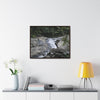Rainforest Trails & Views - Gallery Canvas Wraps, Horizontal Frame - El Yunque National Forest - Puerto Rico - Nice ponds above the bridge and next toi Rio Sabana Park camping grounds - Green Forest Home