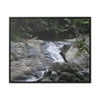 Rainforest Trails & Views - Gallery Canvas Wraps, Horizontal Frame - El Yunque National Forest - Puerto Rico - Nice ponds above the bridge and next toi Rio Sabana Park camping grounds - Green Forest Home