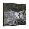 Rainforest Trails & Views - Gallery Canvas Wraps, Horizontal Frame - El Yunque National Forest - Puerto Rico - Nice ponds above the bridge and next toi Rio Sabana Park camping grounds - Green Forest Home