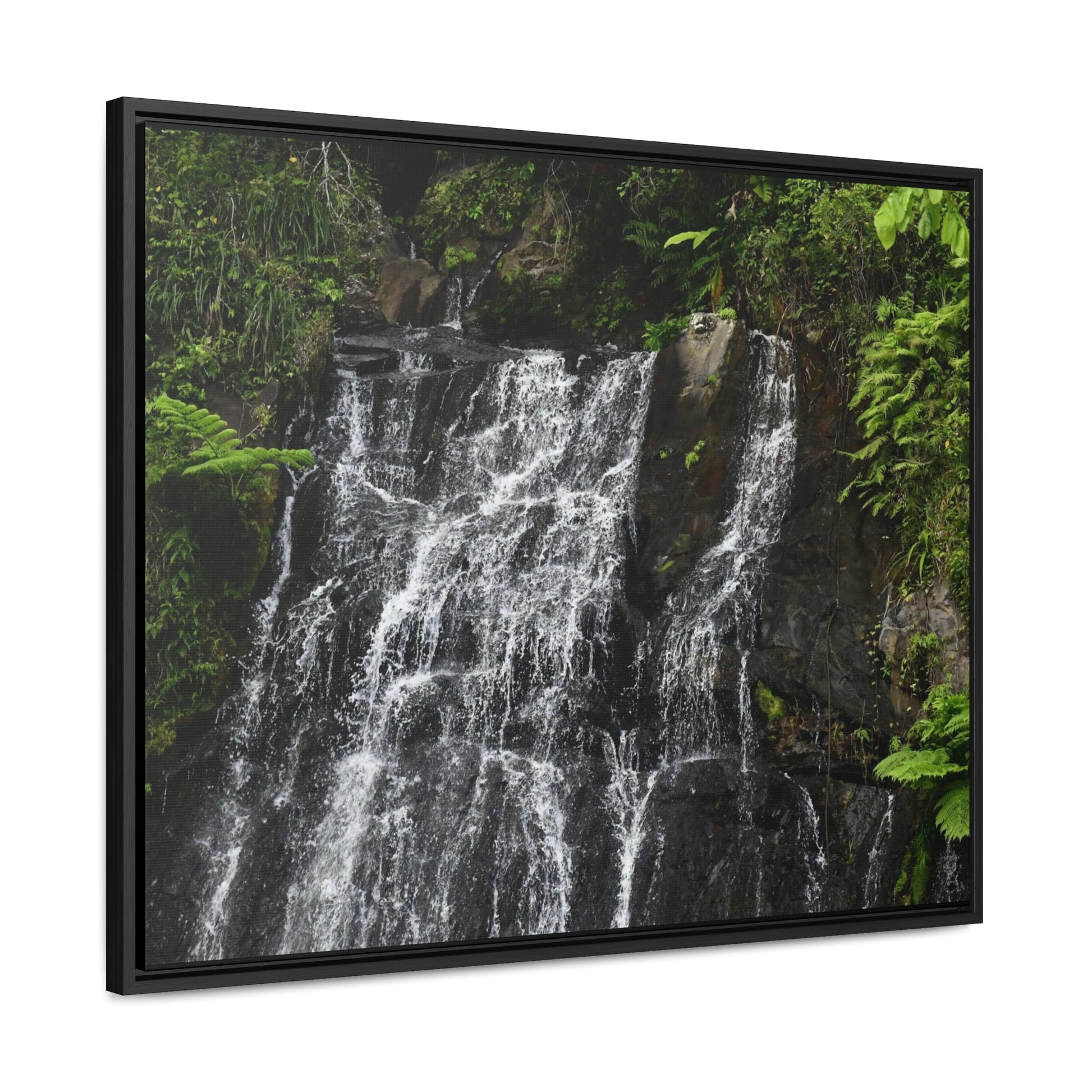 Rainforest Trails & Views - Gallery Canvas Wraps, Horizontal Frame - El Yunque National Forest - Puerto Rico - Nikon Telephoto view of the upper La Coca Falls - Green Forest Home