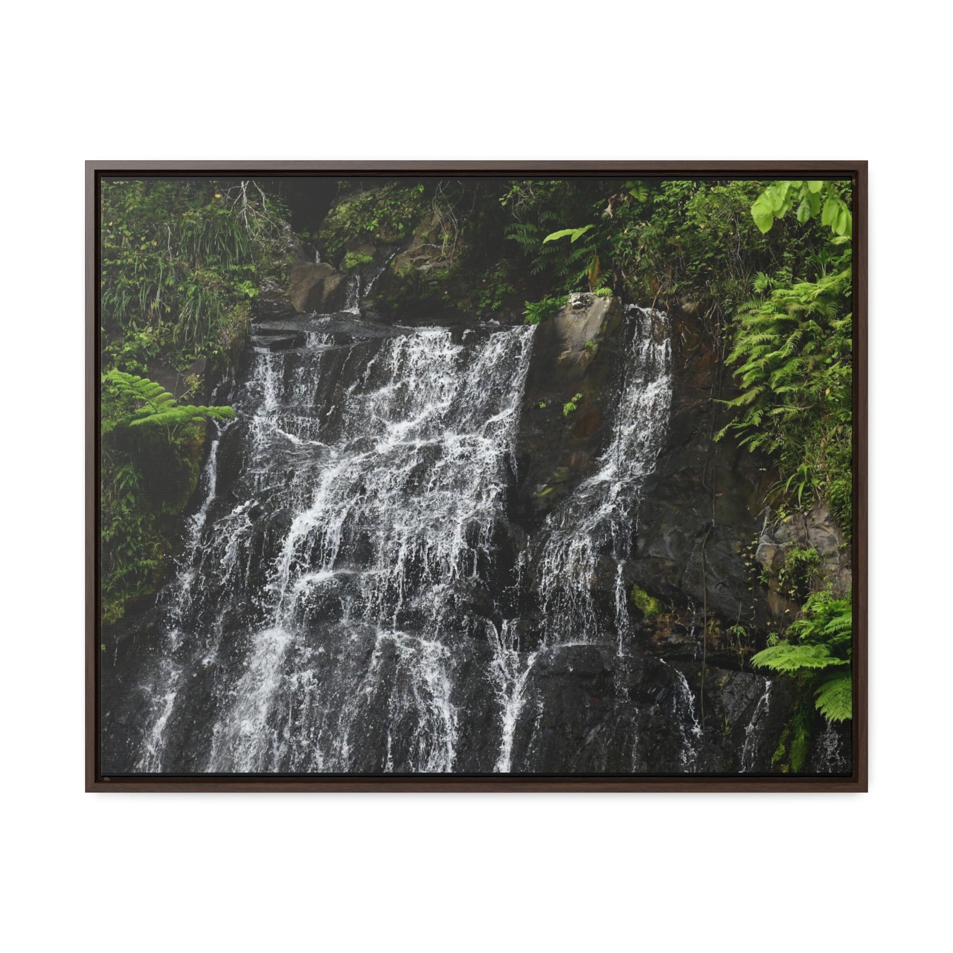 Rainforest Trails & Views - Gallery Canvas Wraps, Horizontal Frame - El Yunque National Forest - Puerto Rico - Nikon Telephoto view of the upper La Coca Falls - Green Forest Home