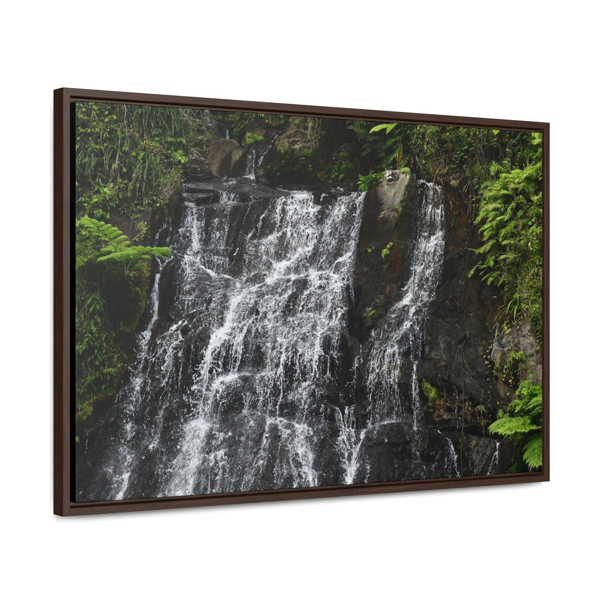 Rainforest Trails & Views - Gallery Canvas Wraps, Horizontal Frame - El Yunque National Forest - Puerto Rico - Nikon Telephoto view of the upper La Coca Falls - Green Forest Home