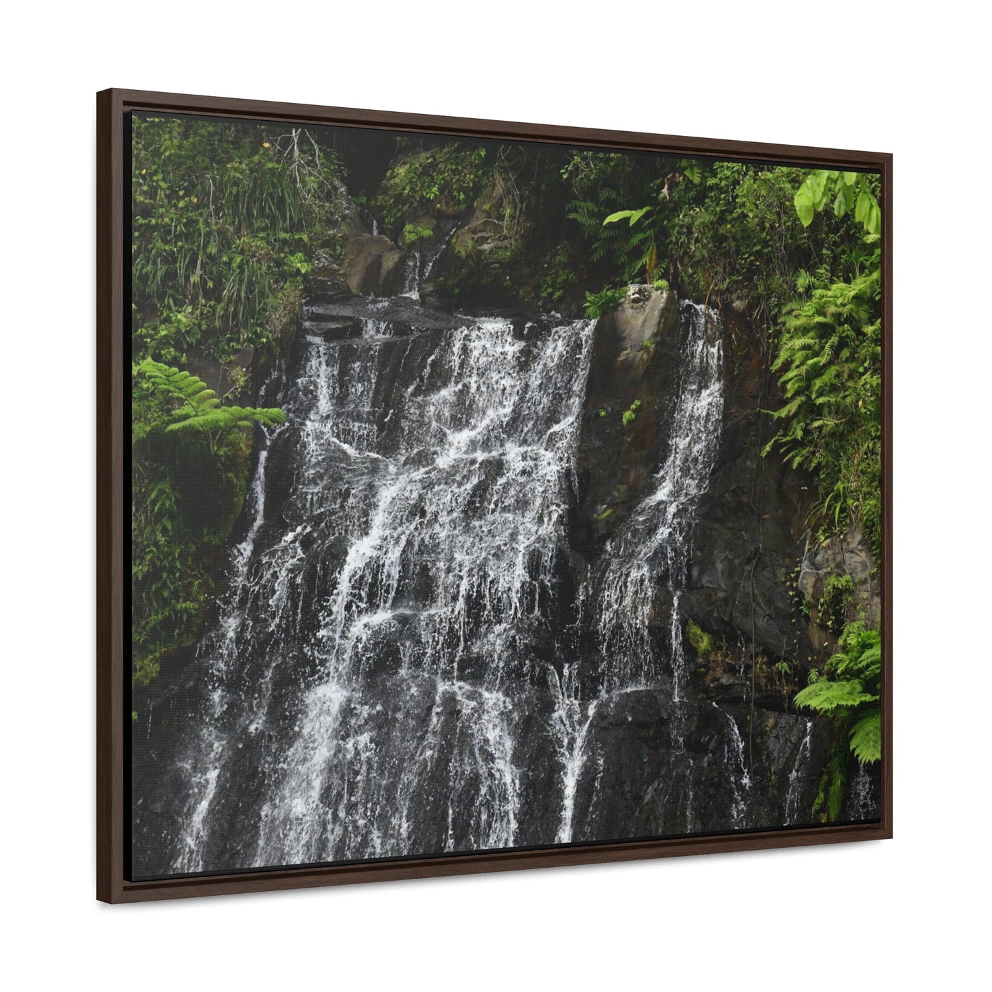 Rainforest Trails & Views - Gallery Canvas Wraps, Horizontal Frame - El Yunque National Forest - Puerto Rico - Nikon Telephoto view of the upper La Coca Falls - Green Forest Home