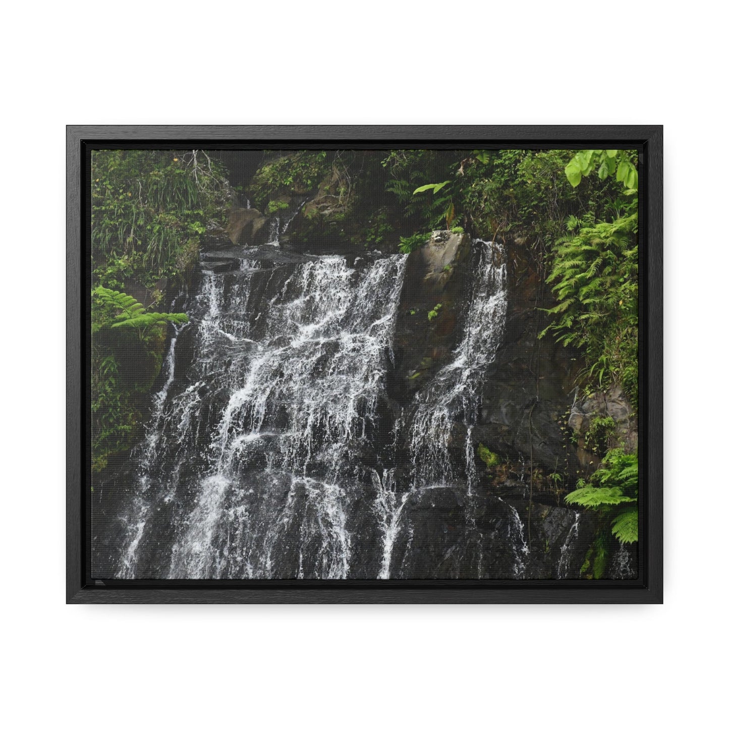 Rainforest Trails & Views - Gallery Canvas Wraps, Horizontal Frame - El Yunque National Forest - Puerto Rico - Nikon Telephoto view of the upper La Coca Falls - Green Forest Home