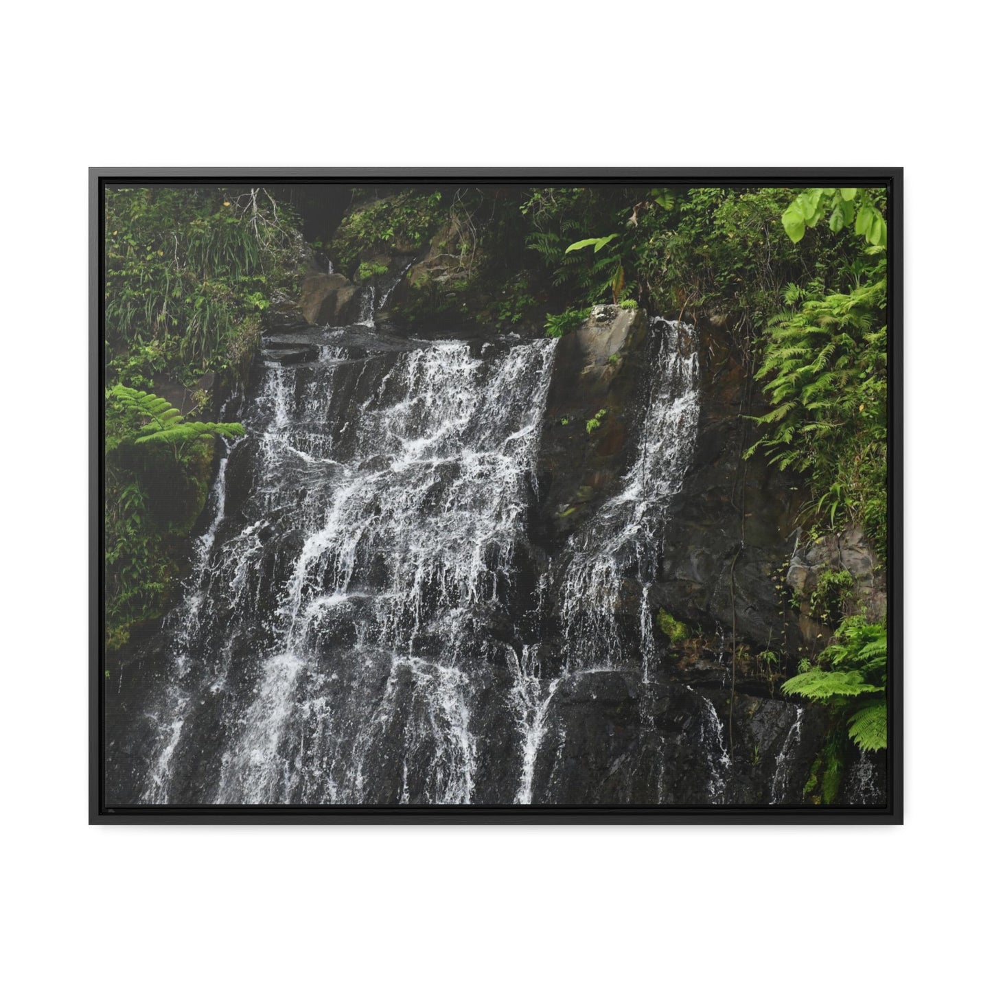 Rainforest Trails & Views - Gallery Canvas Wraps, Horizontal Frame - El Yunque National Forest - Puerto Rico - Nikon Telephoto view of the upper La Coca Falls - Green Forest Home