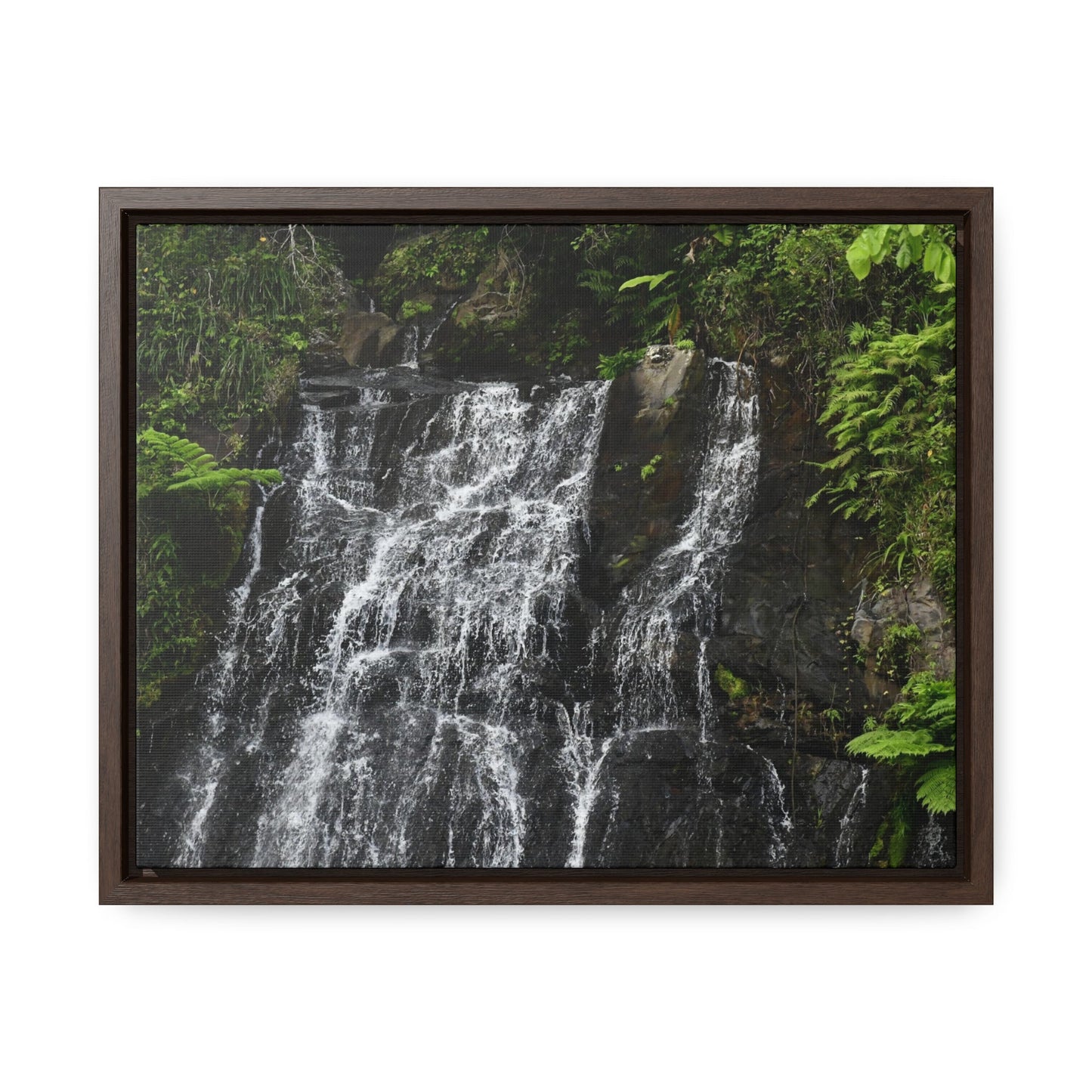 Rainforest Trails & Views - Gallery Canvas Wraps, Horizontal Frame - El Yunque National Forest - Puerto Rico - Nikon Telephoto view of the upper La Coca Falls - Green Forest Home