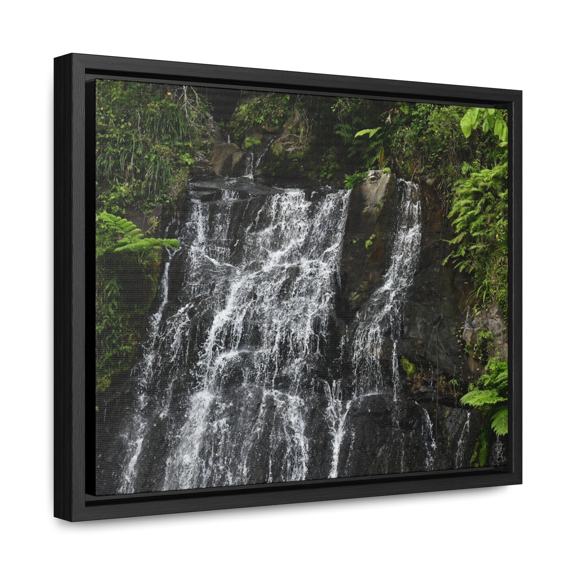Rainforest Trails & Views - Gallery Canvas Wraps, Horizontal Frame - El Yunque National Forest - Puerto Rico - Nikon Telephoto view of the upper La Coca Falls - Green Forest Home