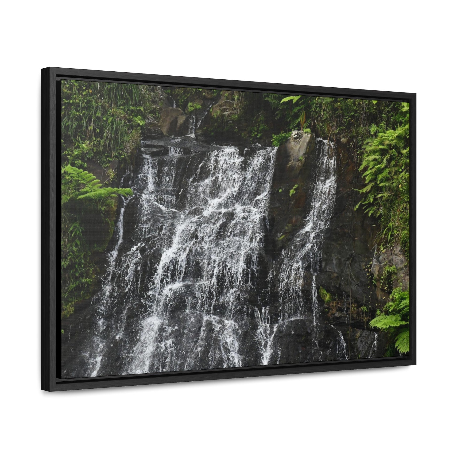 Rainforest Trails & Views - Gallery Canvas Wraps, Horizontal Frame - El Yunque National Forest - Puerto Rico - Nikon Telephoto view of the upper La Coca Falls - Green Forest Home