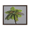 Rainforest Trails & Views - Gallery Canvas Wraps, Horizontal Frame - El Yunque National Forest - Puerto Rico - One of the worlds original trees - the Fern Palm - Green Forest Home