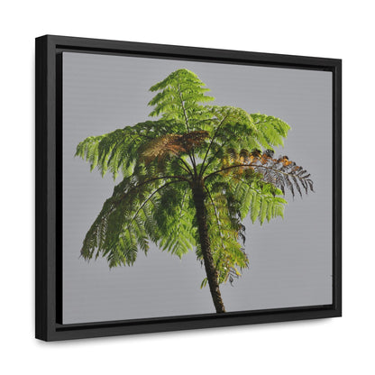 Rainforest Trails & Views - Gallery Canvas Wraps, Horizontal Frame - El Yunque National Forest - Puerto Rico - One of the worlds original trees - the Fern Palm - Green Forest Home